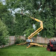 Lawn Maintenance Plans in Whittingham, NJ
