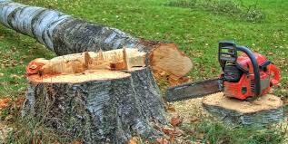 Best Utility Line Clearance  in Whittingham, NJ
