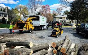 Reliable Whittingham, NJ Tree Services Solutions