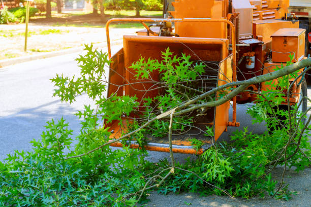 Best Soil Testing and Treatment  in Whittingham, NJ