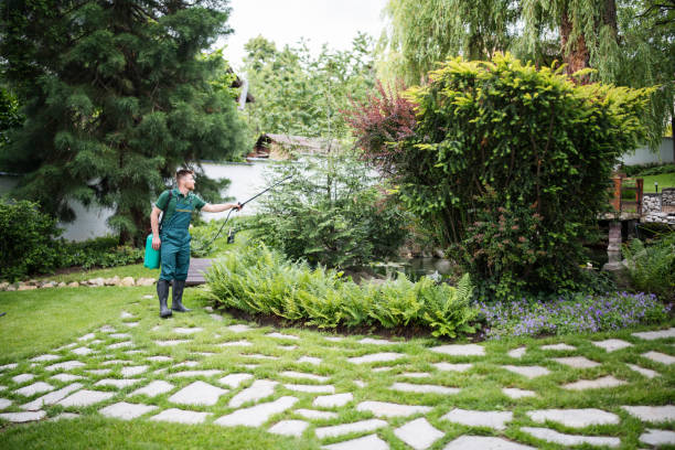 Best Hazardous Tree Removal  in Whittingham, NJ