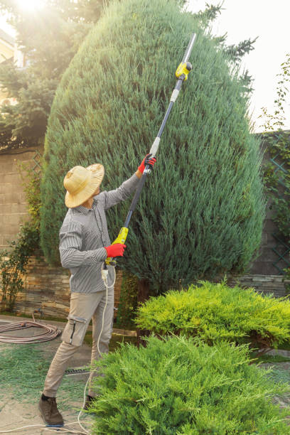 Best Grass Overseeding  in Whittingham, NJ