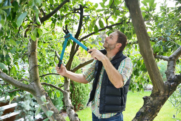 Best Lawn Irrigation Installation and Maintenance  in Whittingham, NJ